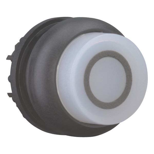 Illuminated pushbutton actuator, RMQ-Titan, Extended, momentary, White, inscribed 0, Bezel: black image 12