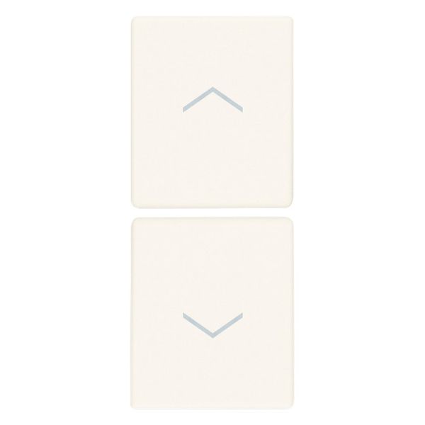 2 half buttons 1M arrow symbols white image 1