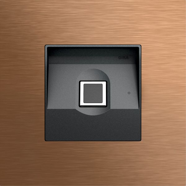 Gira Keyless In fingerprint mod. System 106 bronze image 1
