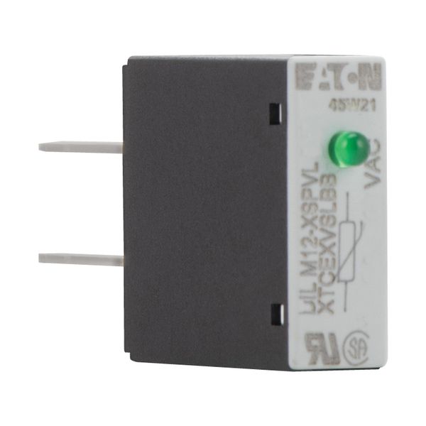 Varistor suppressor circuit, 130 - 240 AC V, For use with: DILM7 - DILM12, DILMP20, DILA image 10