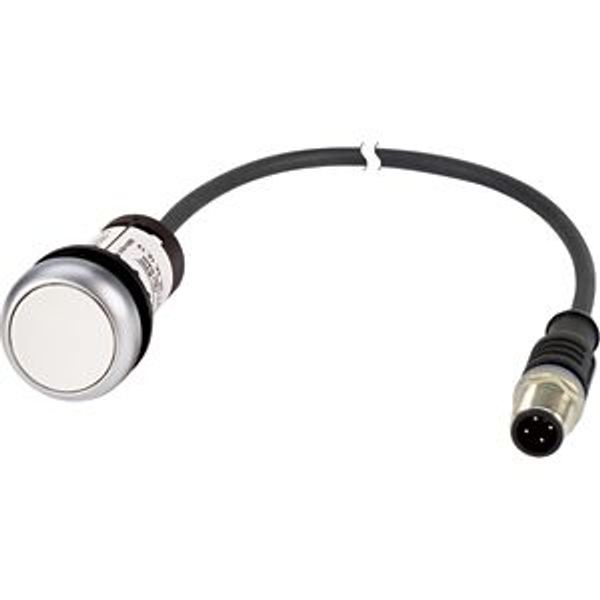 Pushbutton, Flat, momentary, 1 N/O, Cable (black) with M12A plug, 4 pole, 0.2 m, White, Blank, Bezel: titanium image 5