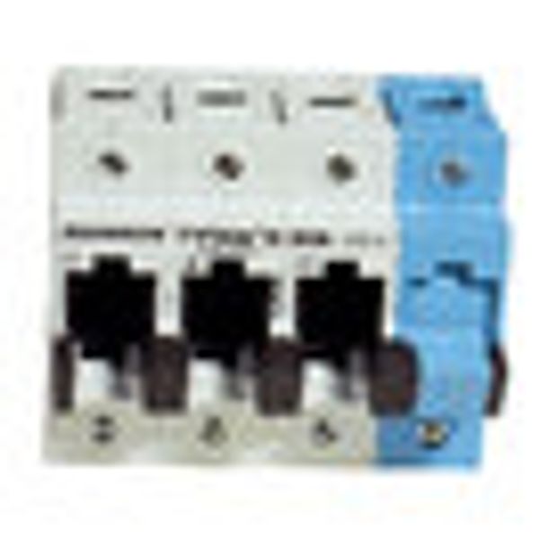 TYTAN II, D02 Fuse switch disconnector, 3+N, 63A image 2