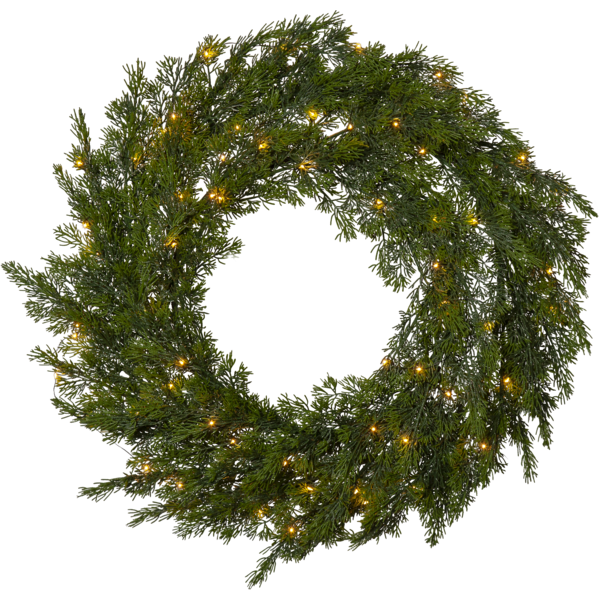 Wreath Thuja image 1
