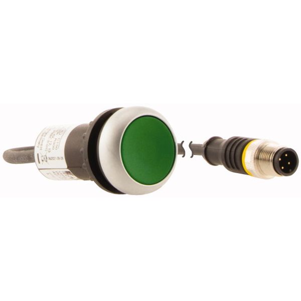 Pushbutton, Flat, momentary, 1 N/O, Cable (black) with M12A plug, 4 pole, 0.2 m, green, Blank, Bezel: titanium image 4