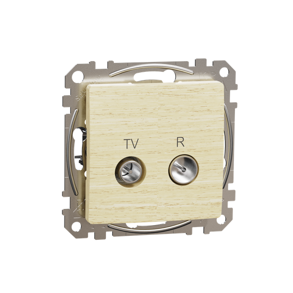 TV/R connector 4db, Sedna, Wood birch image 5