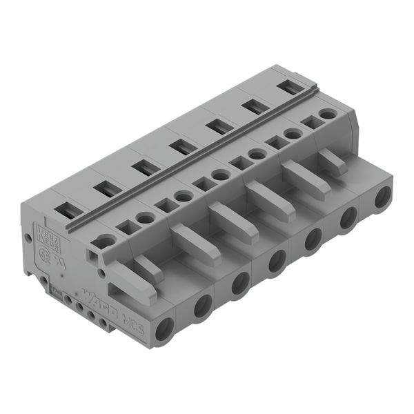 1-conductor female connector CAGE CLAMP® 2.5 mm² gray image 1