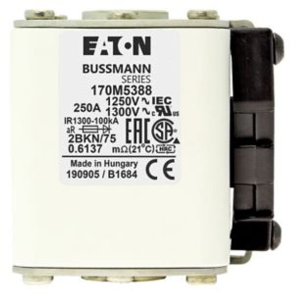 Fuse-link, high speed, 250 A, AC 1250 V, size 2, 61 x 75 x 77 mm, aR, IEC, UL, single indicator image 4