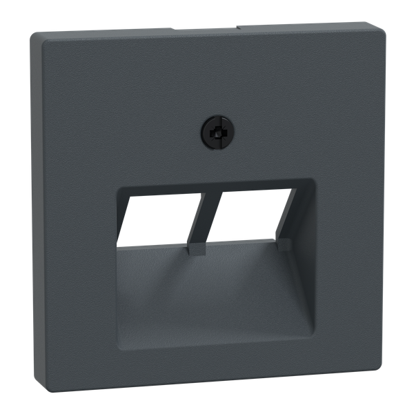 Central plate for UAE use, 2-fold, anthracite, system M image 1