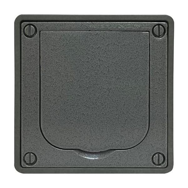 1703-81 Cover Frames future®, Busch-axcent®, carat®; Busch-dynasty® Anthracite image 9