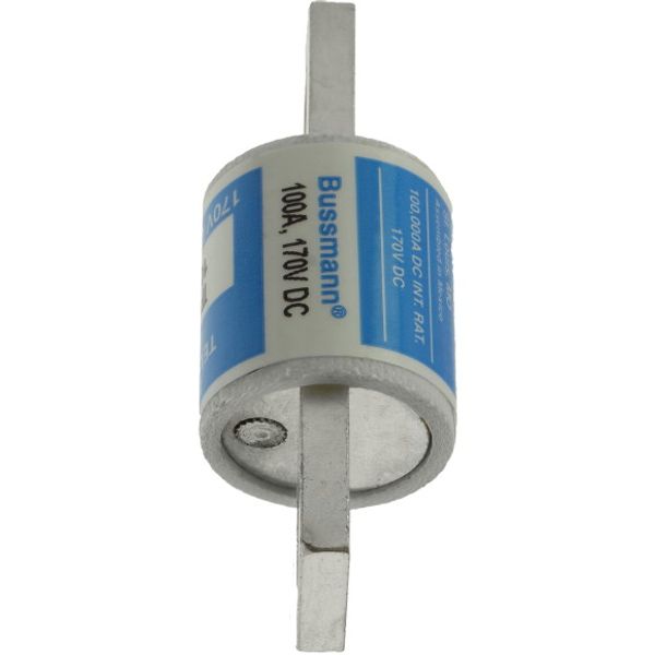 Eaton Bussmann series TPL telecommunication fuse, 170 Vdc, 100A, 100 kAIC, Non Indicating, Current-limiting, Bolted blade end X bolted blade end, Silver-plated terminal image 3