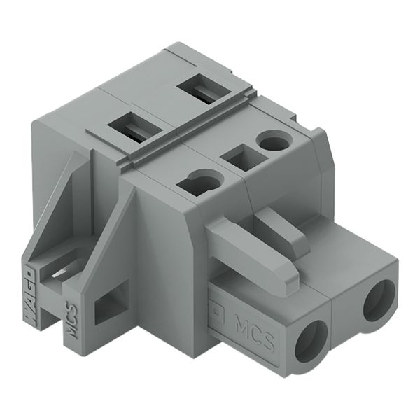 1-conductor female connector CAGE CLAMP® 2.5 mm² gray image 1