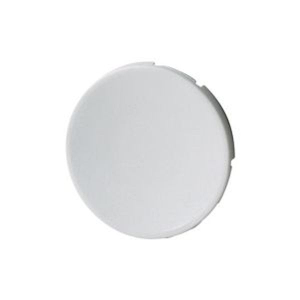 Button plate, flush, gray image 2