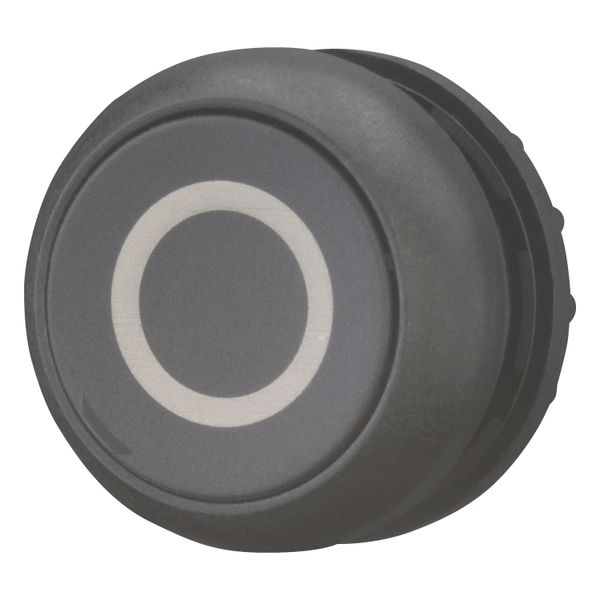 Pushbutton, RMQ-Titan, Flat, momentary, black, inscribed, Bezel: black image 2