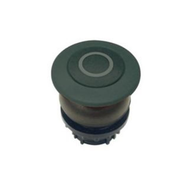 Mushroom actuator, RMQ-Titan, Mushroom, maintained, Mushroom black, black, inscribed, Bezel: black image 6