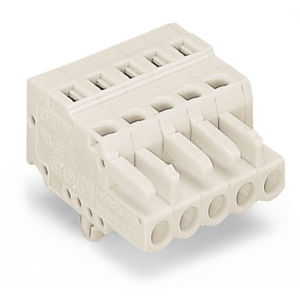 1-conductor female connector CAGE CLAMP® 2.5 mm² light gray image 1