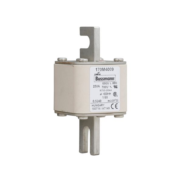 Fuse-link, high speed, 250 A, AC 690 V, DIN 1, 53 x 53 x 108 mm, aR, DIN, IEC, single indicator image 14