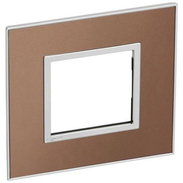 French and German standard plate square version 2 modules - brushed metal pink champagne image 1