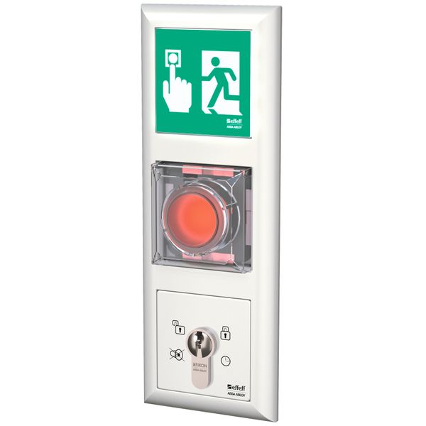 Flush-mounted escape door control terminal, offline image 1