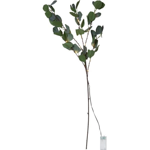 Decorative Twig Eucalyptus image 1