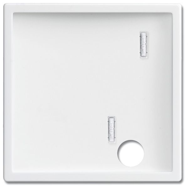 2548-046 A-84 CoverPlates (partly incl. Insert) future®, Busch-axcent®, solo®; carat® Studio white image 1