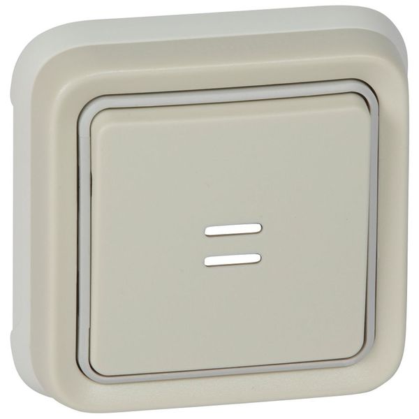 Push-button Plexo IP 55 - illuminated changeover - flush mounting - white image 1