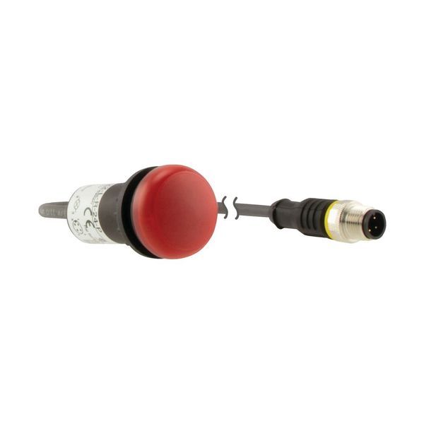 Indicator light, Flat, Cable (black) with M12A plug, 4 pole, 1 m, Lens Red, LED Red, 24 V AC/DC image 10