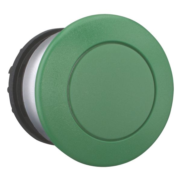 Mushroom actuator, RMQ-Titan, Mushroom, maintained, Mushroom green, green, Blank, Bezel: titanium image 14