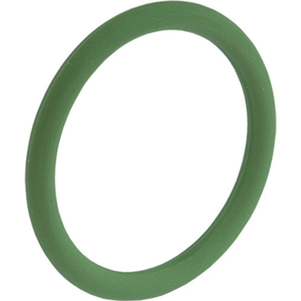 O-ring Viton FPM 8.1 x 1.6  image 1