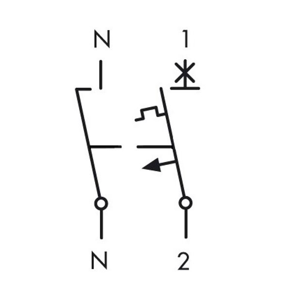 Miniature Circuit Breaker (MCB) AMPARO 6kA, C 20A, 1+N, 1MW image 9