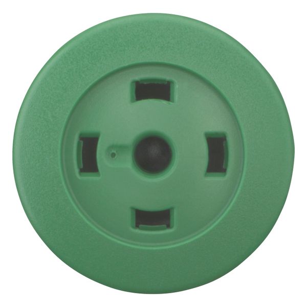 Mushroom actuator, RMQ-Titan, Mushroom, maintained, Mushroom green, Without button plate, Without, Bezel: titanium image 6