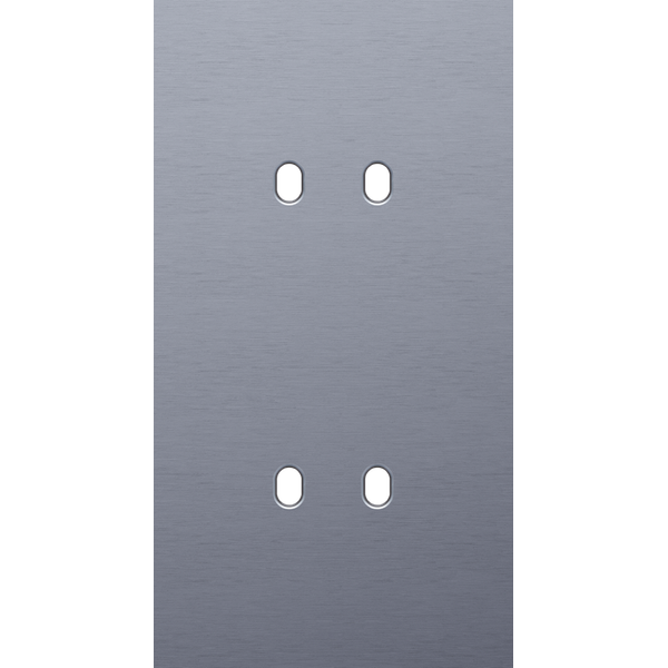 Twofold faceplate, vertical 71 mm centre distance, for double switch f image 1