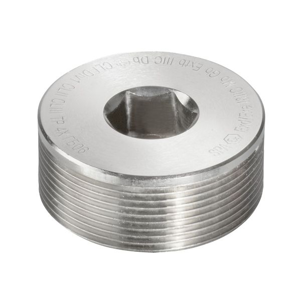 Ex sealing plugs (metal), M 16, 17 mm, Brass, nickel-plated image 1