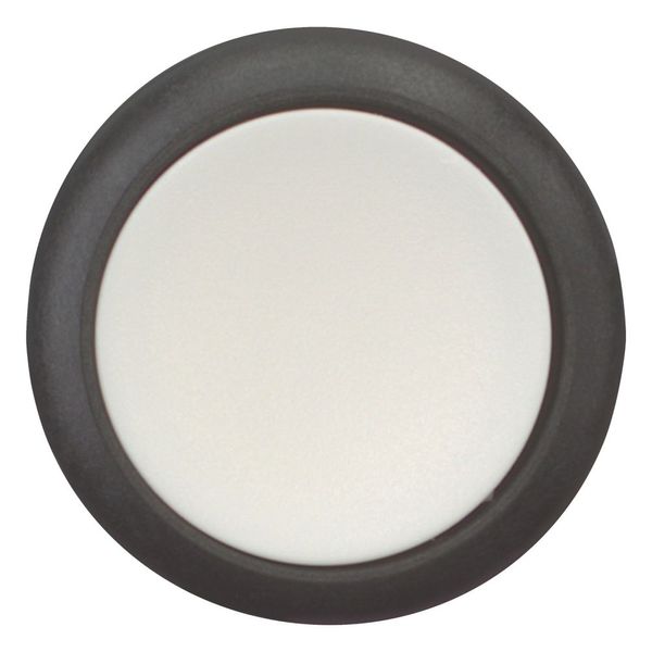 Pushbutton, Flat, maintained, 1 NC, 1 N/O, Screw connection, White, Blank, Bezel: black image 3