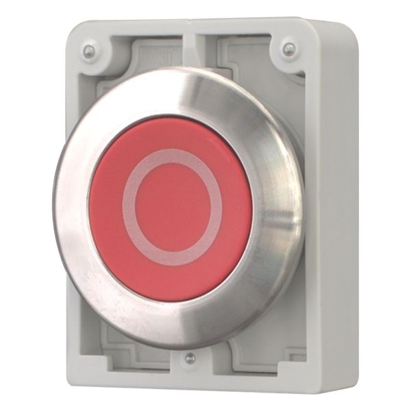 Pushbutton, RMQ-Titan, flat, momentary, red, inscribed, Front ring stainless steel image 3