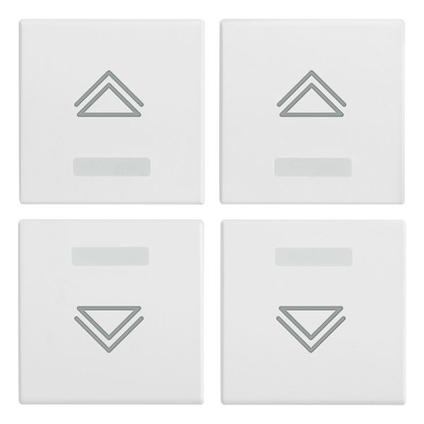 Four half-buttons 1M regul.symbol white image 1