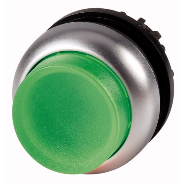 Illuminated pushbutton actuator, RMQ-Titan, Extended, momentary, green, Blank, Bezel: titanium image 1
