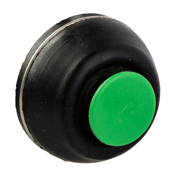 PUSHBUTTON HEAD image 1