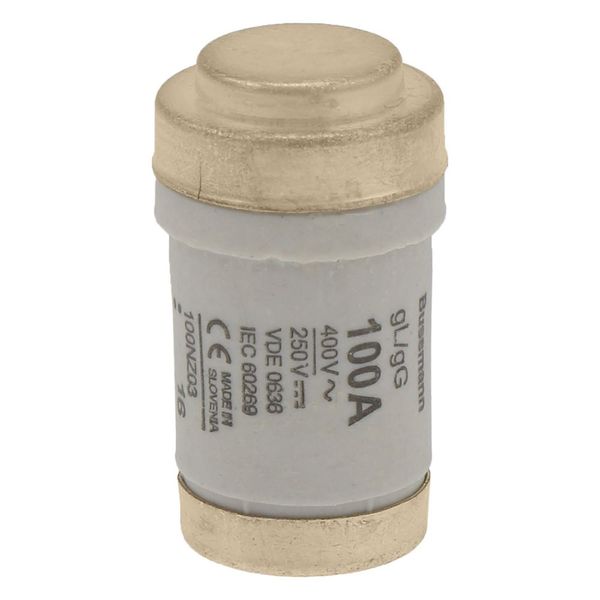 Fuse-link, LV, 100 A, AC 400 V, D03, gL/gG, IEC, time-delay image 10