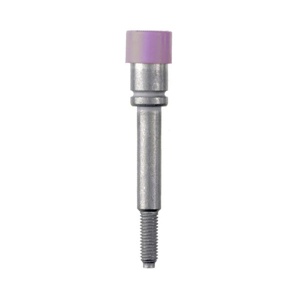 Socket (terminal), Plug-in depth: 8 mm, Depth: 37.5 mm image 2