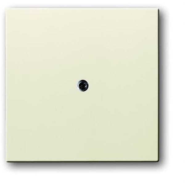 1745-82 CoverPlates (partly incl. Insert) future®, solo®; carat®; Busch-dynasty® ivory white image 1