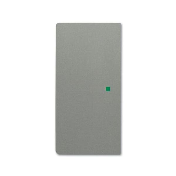 SRL-2-L-803 Electronic Controls free@home grey metallic - 63x63 image 1