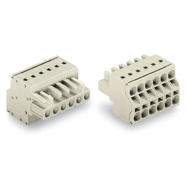 2-conductor female connector Push-in CAGE CLAMP® 2.5 mm² light gray image 5