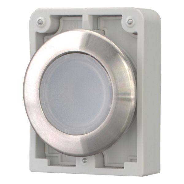 Illuminated pushbutton actuator, RMQ-Titan, flat, momentary, White, blank, Front ring stainless steel image 3