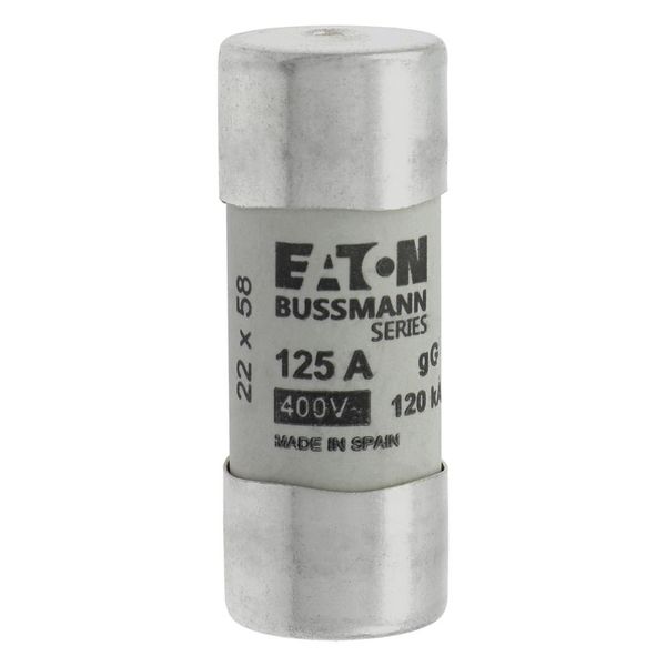 Fuse-link, LV, 125 A, AC 400 V, 22 x 58 mm, gL/gG, IEC, with striker image 17