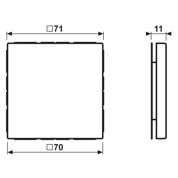 Blank centre plate LS994BLG image 6