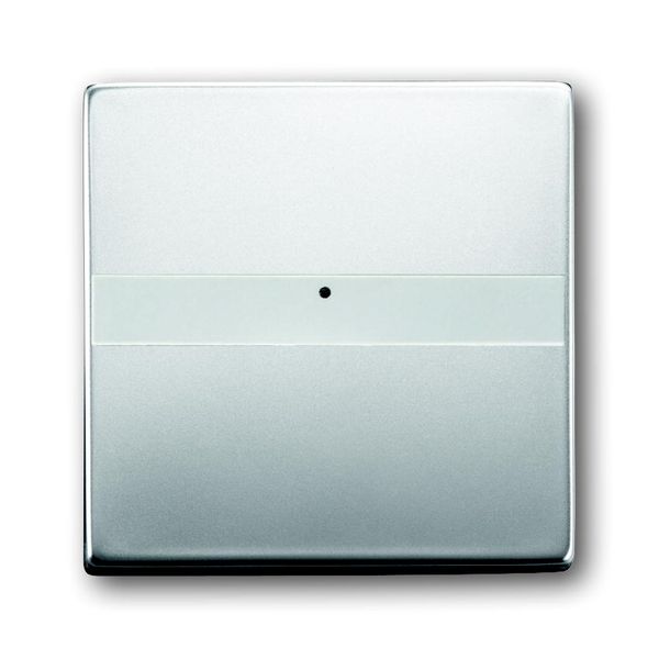 1764 NLI-866 CoverPlates (partly incl. Insert) pure stainless steel Stainless steel image 1