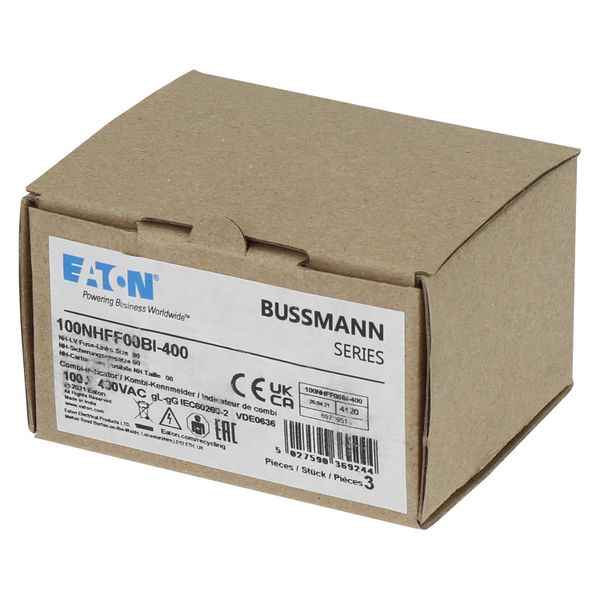 Fuse-link, LV, 100 A, AC 400 V, NH00, gFF, IEC, dual indicator, insulated gripping lugs image 17