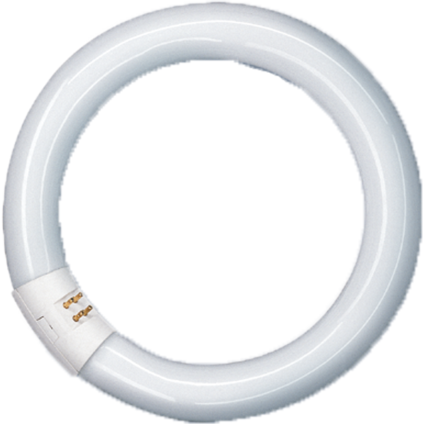 Spectralux®Plus Ring , NL-T9 32W/840C/G10Q image 1