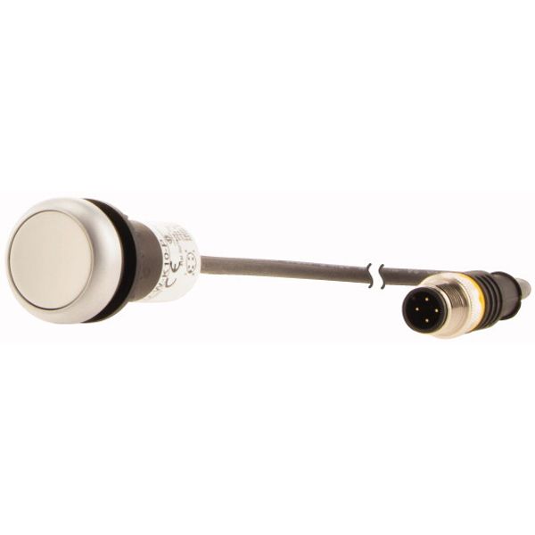 Pushbutton, Flat, momentary, 1 N/O, Cable (black) with M12A plug, 4 pole, 0.5 m, White, Blank, Bezel: titanium image 3