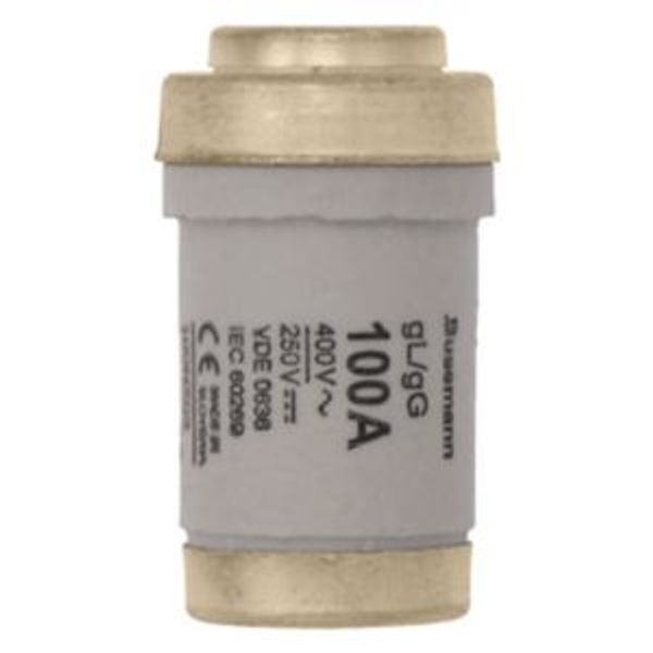 Fuse-link, LV, 100 A, AC 400 V, D03, gL/gG, IEC, time-delay image 5